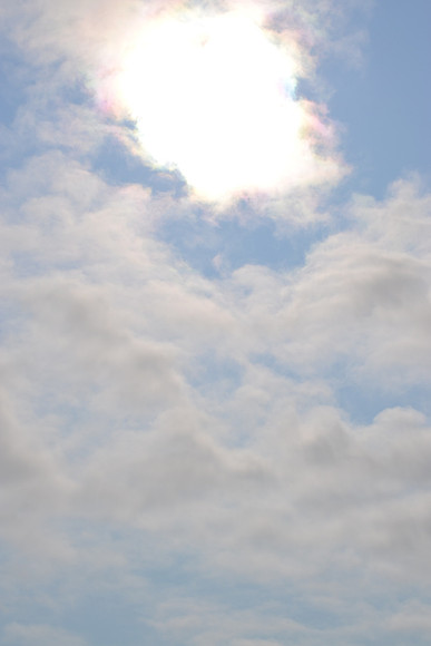 DSC_7245