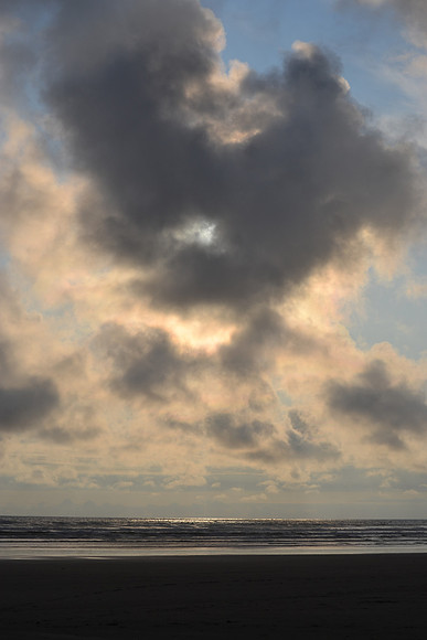 DSC_7290