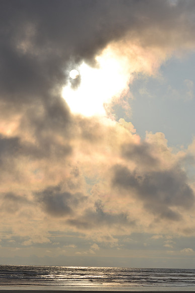 DSC_7293
