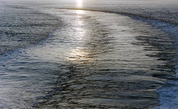 Natures Views_0098