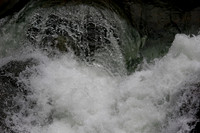 IMG_2208