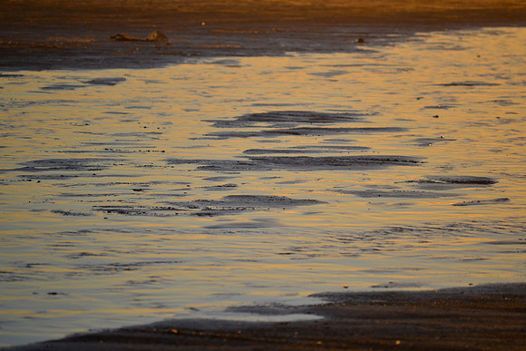 DSC_6019