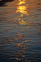 DSC_6064
