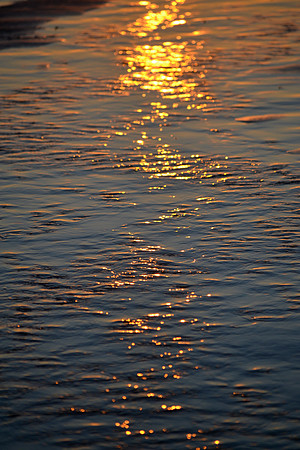 DSC_6064
