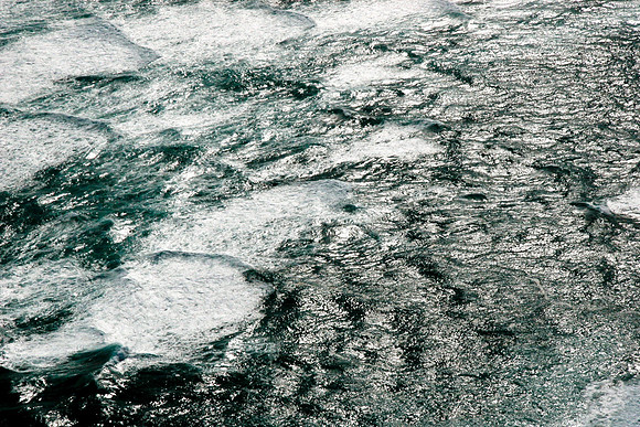 _MG_9995
