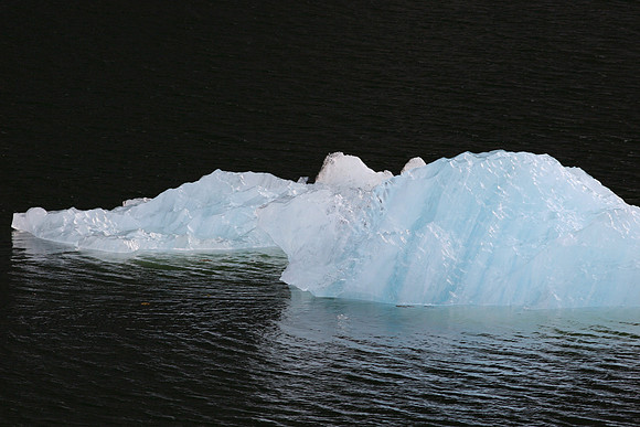 CD Best of Alaska (190)