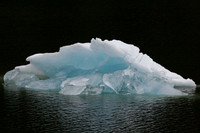 CD Best of Alaska (165)