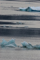 CD Best of Alaska (187)