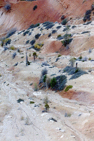 Bryce canyon_0028