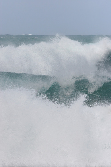 IMG_0486