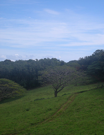 DSCN1367