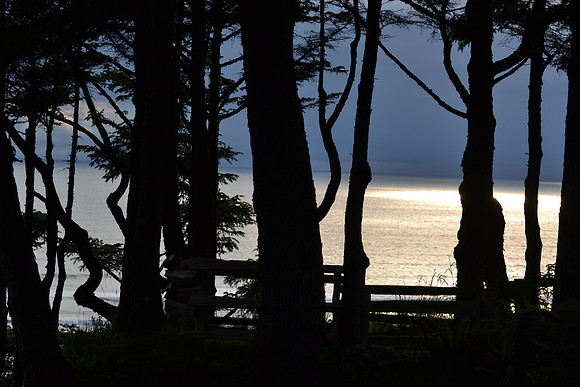 DSC_7259