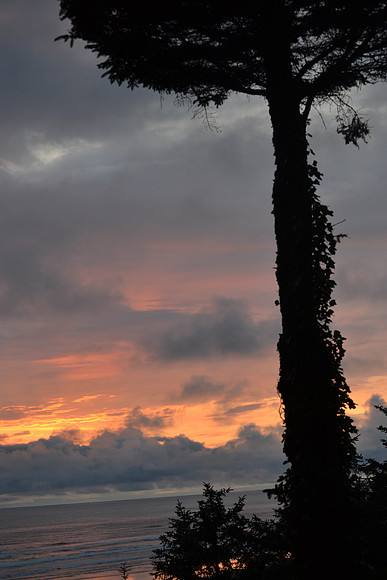 DSC_7460