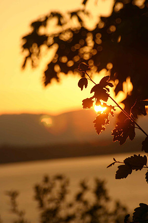 Sunset Discovery Park WA_0041