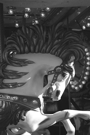 blackwhitehorse