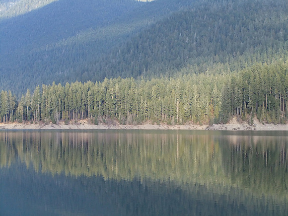 DSCF0617