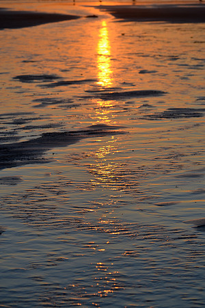 DSC_6080