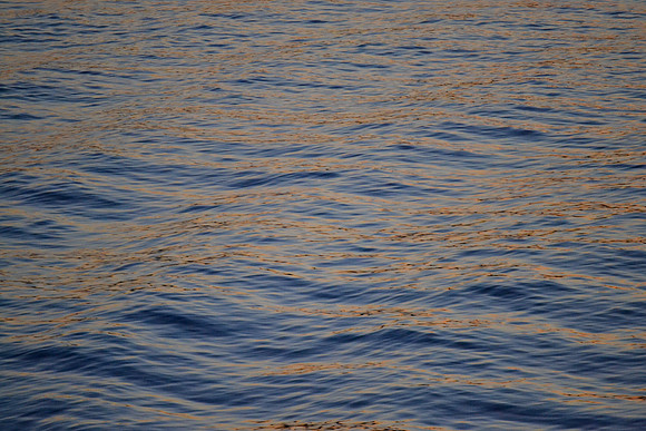 DSC_6222