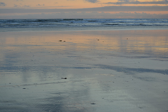 DSC_7367