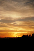 07 (1)