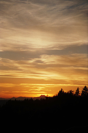 07 (1)