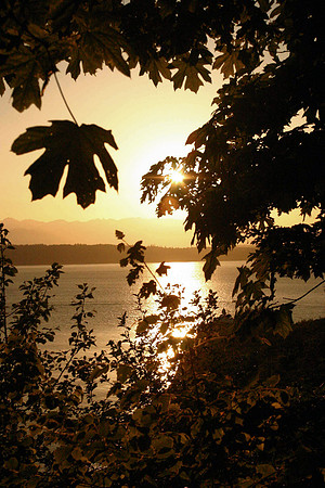 Sunset Discovery Park WA_0002