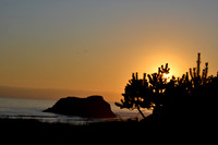 DSC_0509