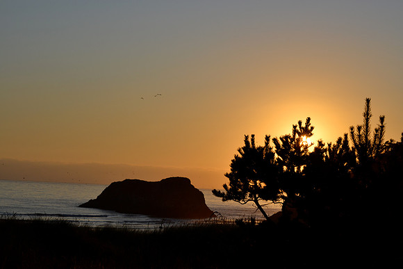 DSC_0509
