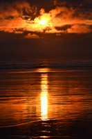Moclips, WA