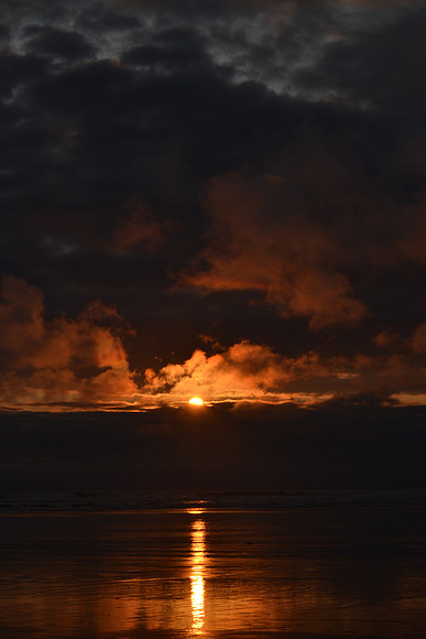 DSC_7400
