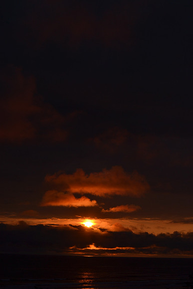 DSC_7437