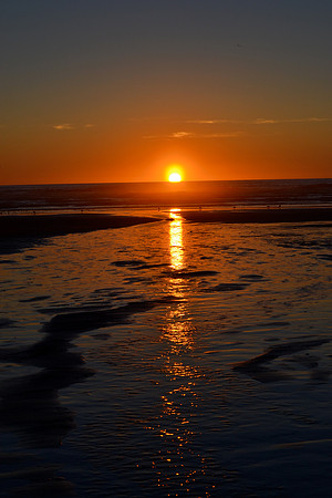 DSC_6068