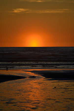 DSC_6091