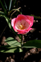 IMG_1565