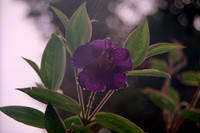 19b