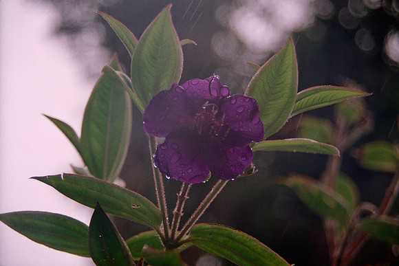 19b