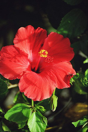 06