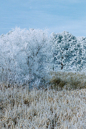 Natures Views_0099