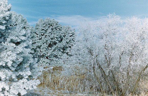 Natures Views_0101